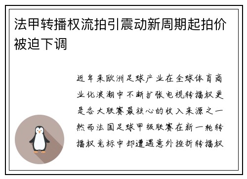 法甲转播权流拍引震动新周期起拍价被迫下调